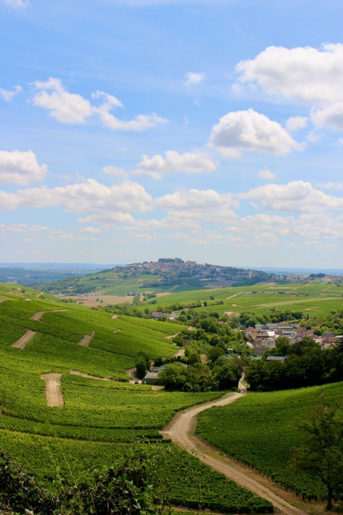 batch_Sancerre depuis Chavignol - OTGS
