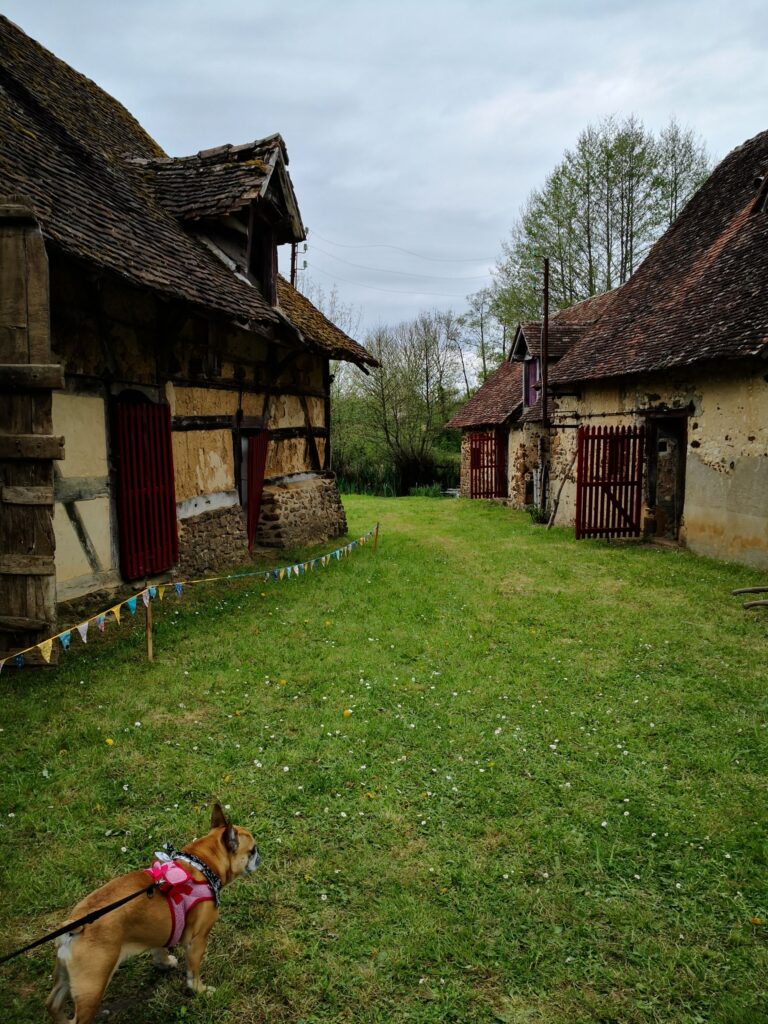 batch_En Pays Fort © Tourisme avec mon chien