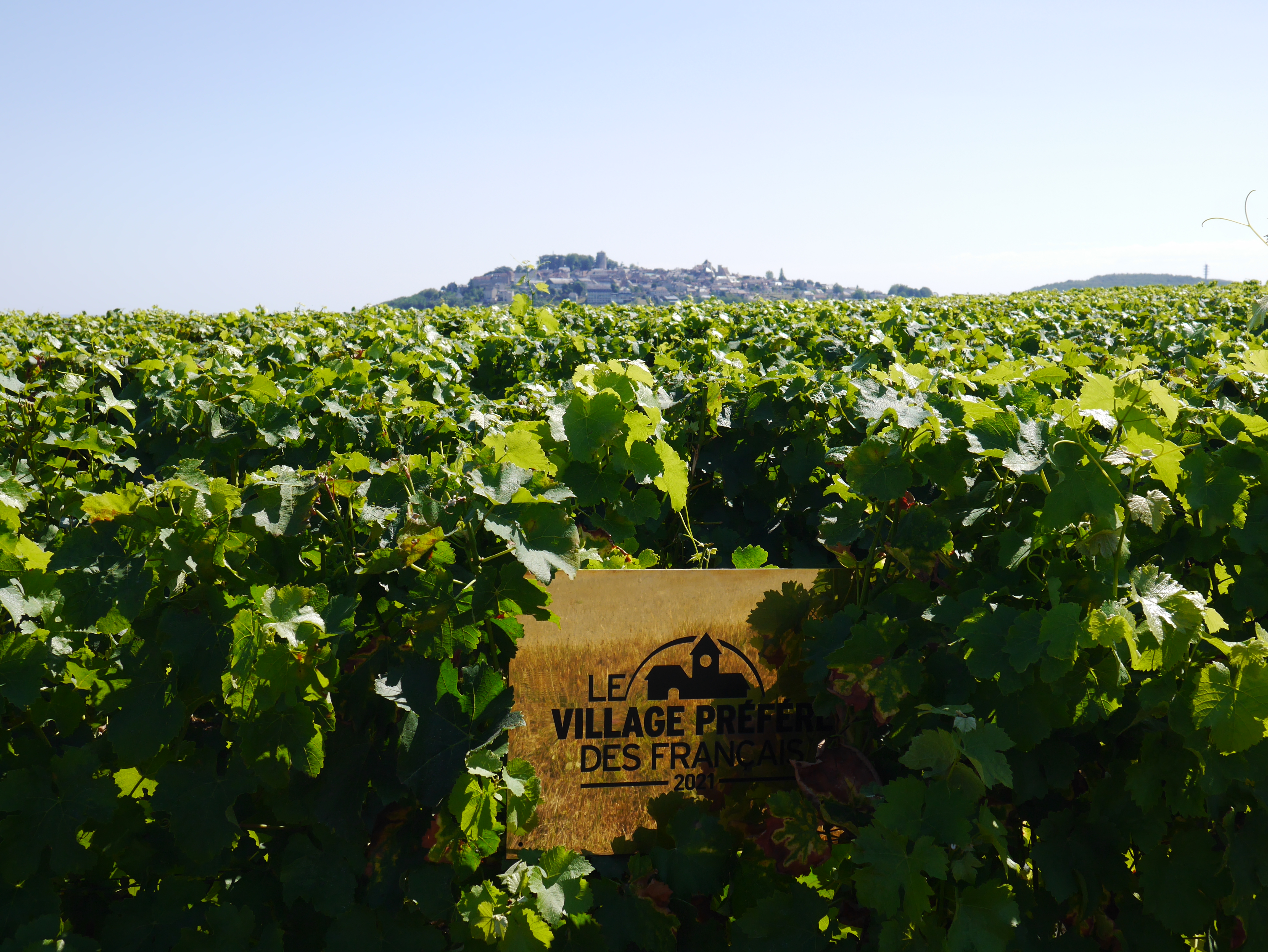Plaque Village Préféré des Français 2021 vigne