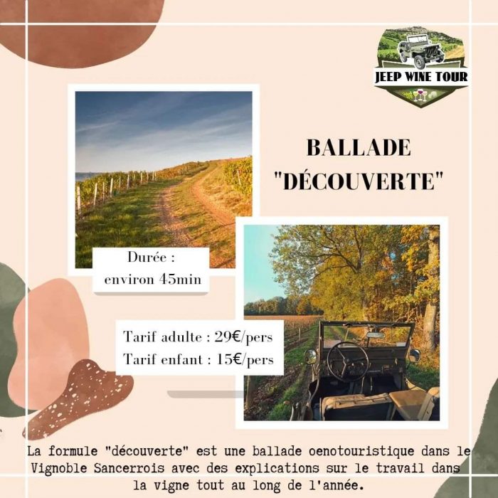 jeep wine tour Thauvenay vignes