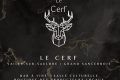 Le cerf2