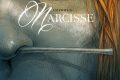 Visuel Narcisse – Zenzika