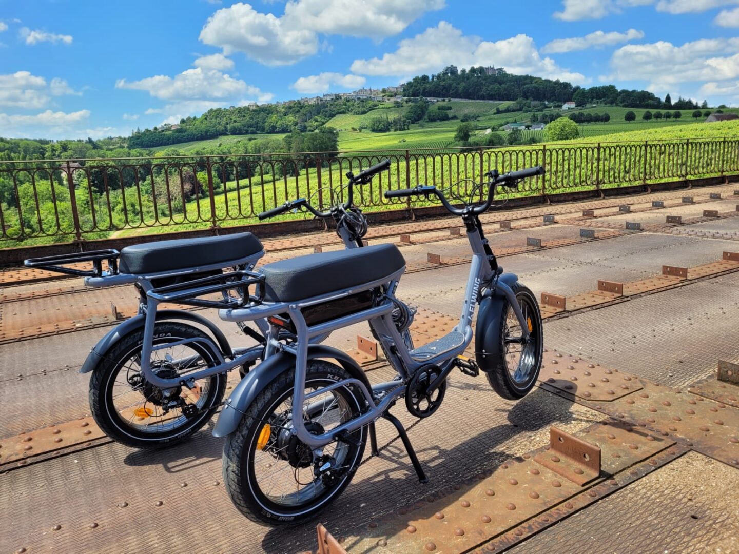 Location vélos CARGO à assistance électrique