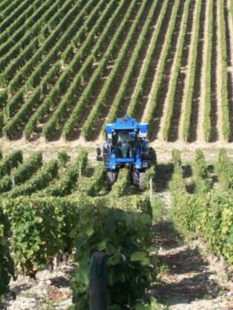 Domaine La Gemière