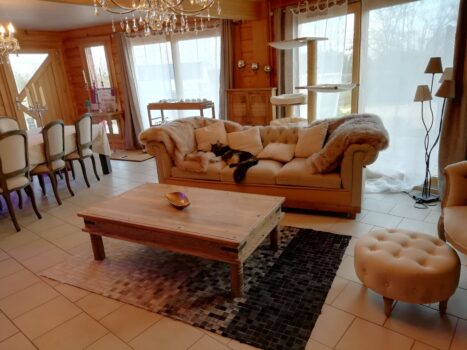 salon