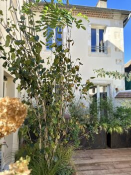 Jardin Suspendu View 4